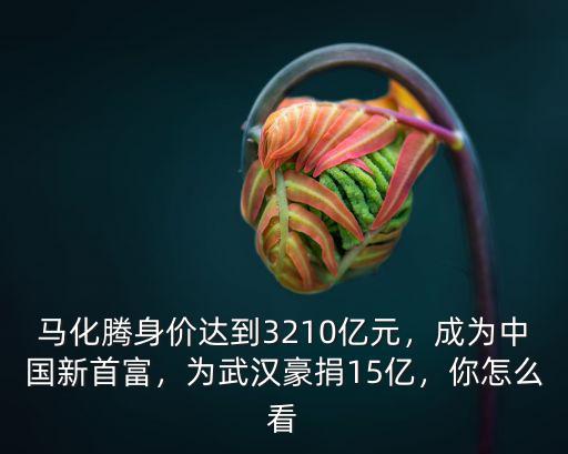 怎么給武漢捐錢錢,沒給武漢捐錢捐物