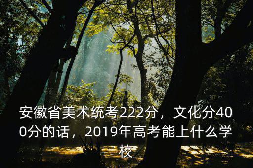 安徽省美術統考222分，文化分400分的話，2019年高考能上什么學校