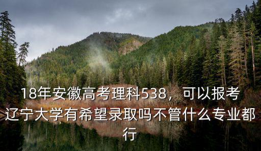 18年安徽高考理科538，可以報考遼寧大學有希望錄取嗎不管什么專業都行