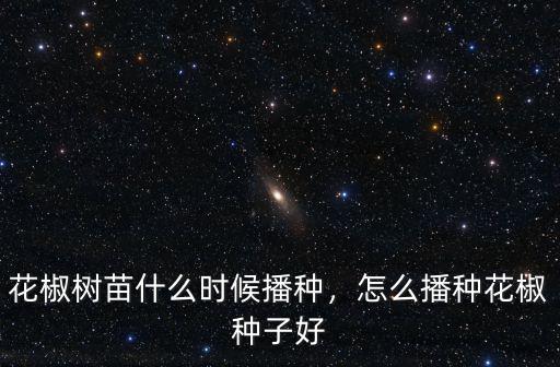 花椒樹苗什么時候播種，怎么播種花椒種子好
