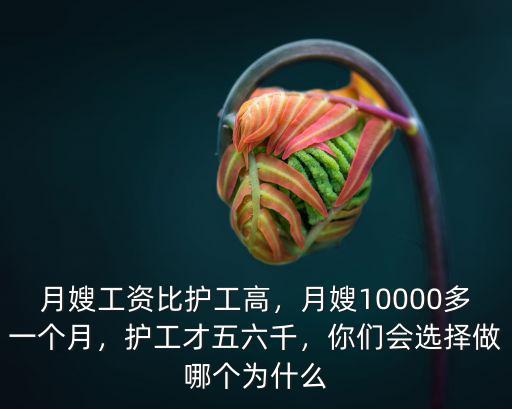 月嫂工資比護(hù)工高，月嫂10000多一個(gè)月，護(hù)工才五六千，你們會(huì)選擇做哪個(gè)為什么