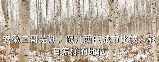 安徽蕪湖有多少人口6,安徽二哥蕪湖