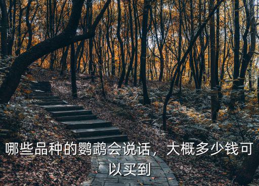 哪些品種的鸚鵡會說話，大概多少錢可以買到