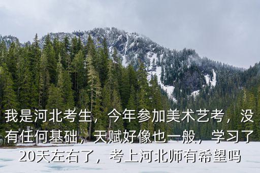 2016年河北參加美術聯考有多少人,今年參加美術藝考