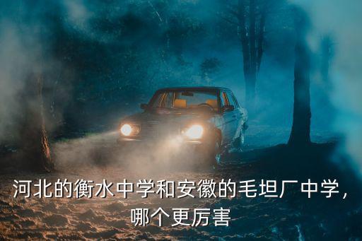 河北的衡水中學和安徽的毛坦廠中學，哪個更厲害
