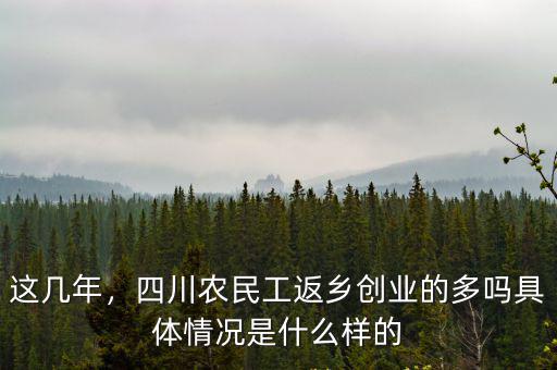 這幾年，四川農民工返鄉創業的多嗎具體情況是什么樣的