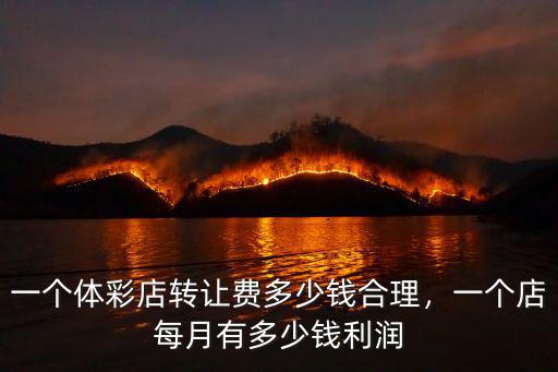 一個體彩店轉讓費多少錢合理，一個店每月有多少錢利潤