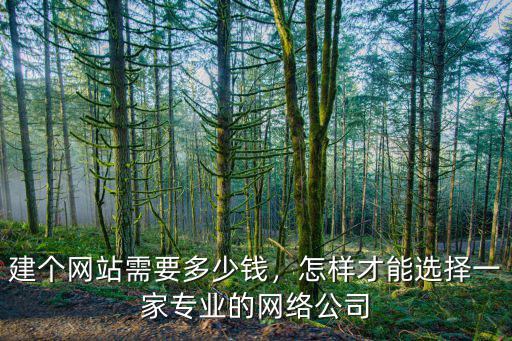 建個網站需要多少錢，怎樣才能選擇一家專業的網絡公司