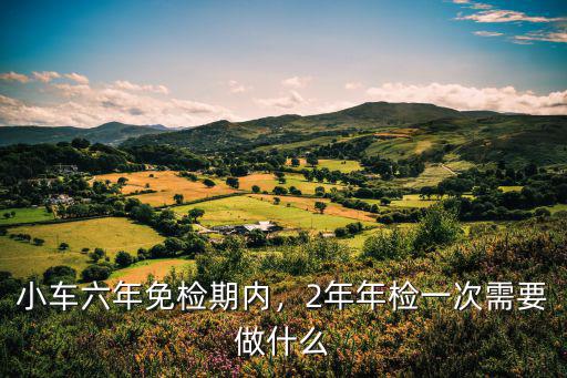 六年內(nèi)新車怎么年檢武漢,小車六年免檢期內(nèi)