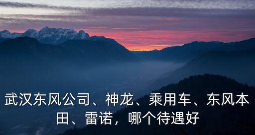 武漢神龍汽車座椅有限公司怎么樣,東風標致雪鐵龍汽車有限公司
