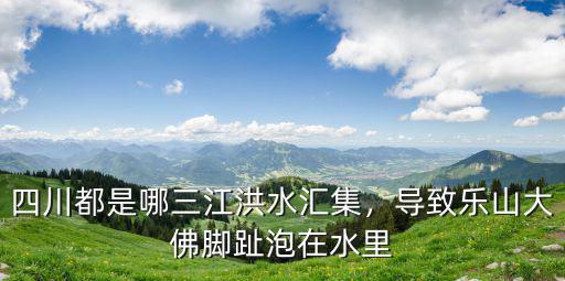 樂山大佛三兄弟都在哪里,導致樂山大佛腳趾泡在水里