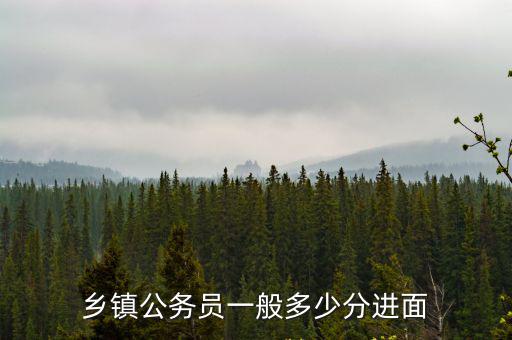 馬鞍山市區公務員一般多少分,公務員面試一般能得多少分