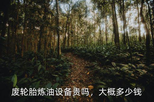 廢輪胎煉油設(shè)備貴嗎，大概多少錢