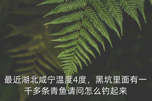 咸寧的整體溫度怎么樣,現在咸寧的房價怎么樣