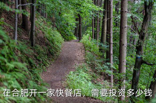 合肥高盛投資多少錢,有投資價值嗎