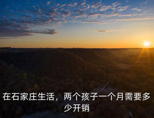 石家莊家庭開銷平均多少,50多歲普通石家莊家庭