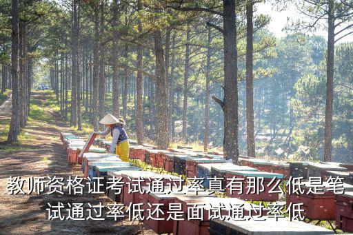 教師資格證考試通過率真有那么低是筆試通過率低還是面試通過率低