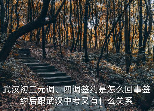 武漢元調(diào)怎么查成績,武漢初三元調(diào)