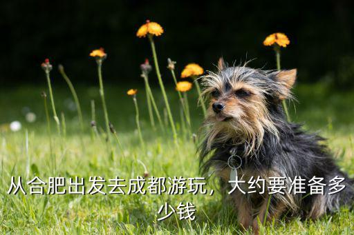 成都人游合肥多少錢,大約要準備多少錢