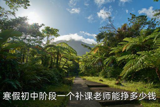 寒假初中階段一個補課老師能掙多少錢
