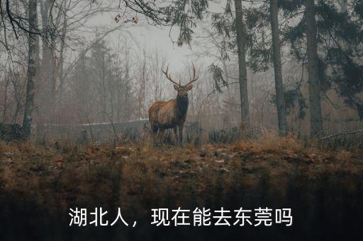 湖北人，現(xiàn)在能去東莞嗎