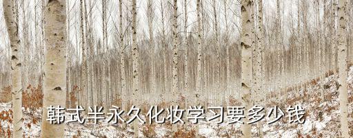 韓式半永久化妝學習要多少錢
