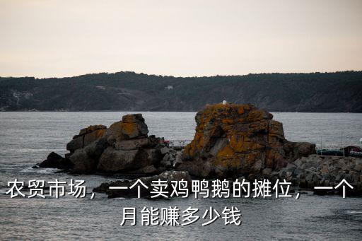 綿陽哪里有賣雞鴨鵝苗的,為什么卻很少有賣鵝的呢