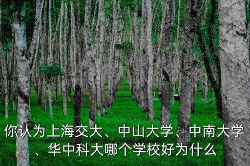 上海交大武漢華中科大怎么選,華中科大哪個學校好