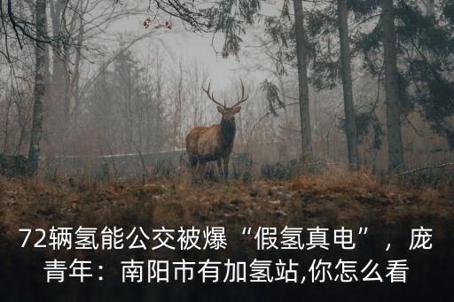 72輛氫能公交被爆“假氫真電”，龐青年：南陽市有加氫站,你怎么看