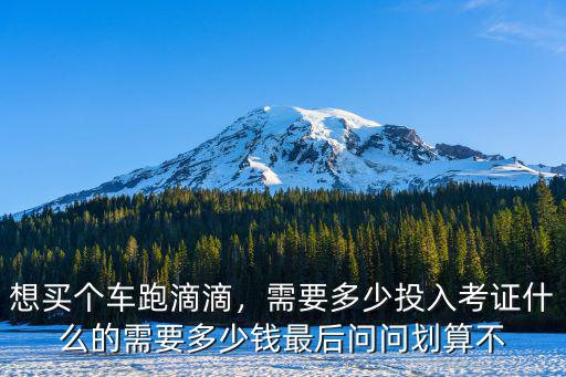 想買個車跑滴滴，需要多少投入考證什么的需要多少錢最后問問劃算不