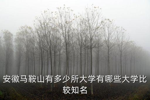 馬鞍山職業技術學院有多少學生,有哪些大學比較知名