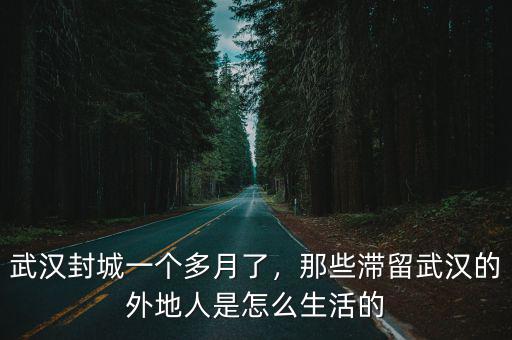 武漢封城一個(gè)多月了，那些滯留武漢的外地人是怎么生活的
