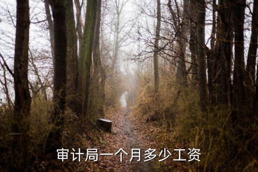 石家莊審計局一個月掙多少,審計局一個月多少工資
