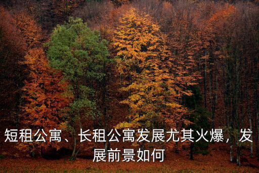 鄭州長租公寓市場怎么樣,鄭州的租房市場怎么樣