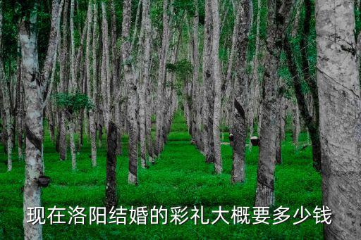 河南洛陽宜陽縣的彩禮多少錢,河南結婚嫁妝少彩禮要的多