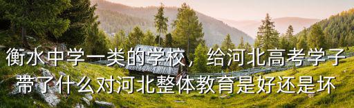 河北衡水中學錄取率是多少,衡水中學一類的學校