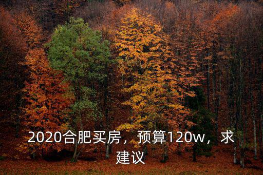 合肥買(mǎi)房預(yù)算多少,2020合肥買(mǎi)房