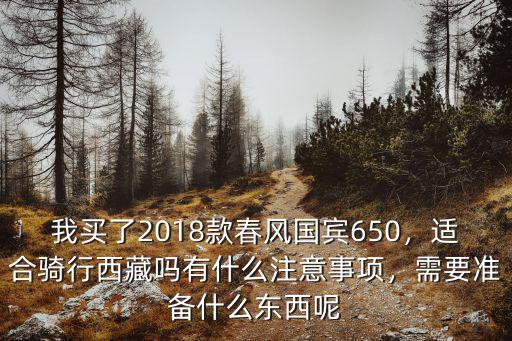 我買了2018款春風國賓650，適合騎行西藏嗎有什么注意事項，需要準備什么東西呢