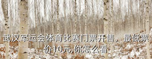 武漢軍運會體育比賽門票開售，最低票價10元,你怎么看