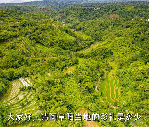 大家好，請問阜陽當地的彩禮是多少