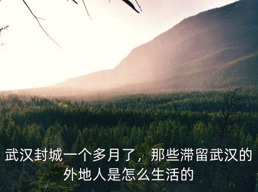 武漢封城一個多月了，那些滯留武漢的外地人是怎么生活的