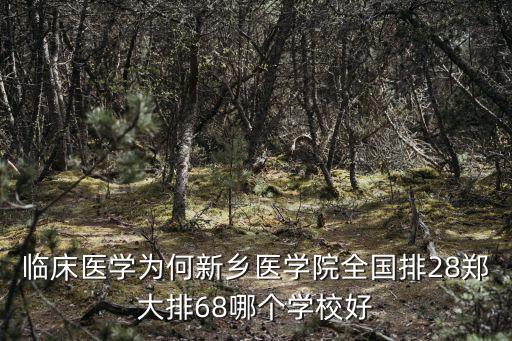 新鄉醫學院 臨床怎么樣,新鄉醫學院臨床醫學專業錄取
