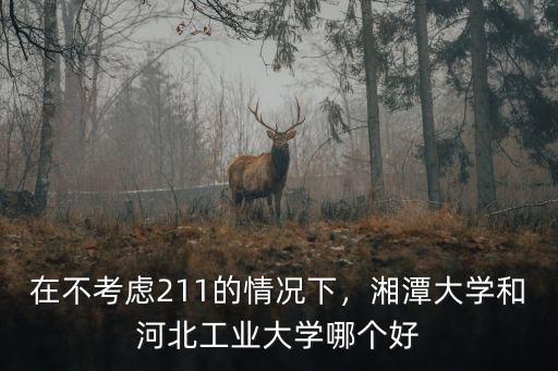 在不考慮211的情況下，湘潭大學(xué)和河北工業(yè)大學(xué)哪個(gè)好