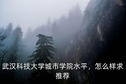 武漢科技大學(xué)城市學(xué)院水平，怎么樣求推薦