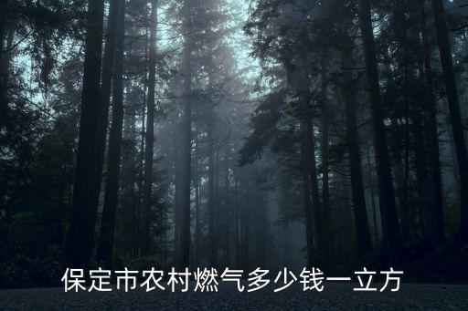 保定市農村燃氣多少錢一立方