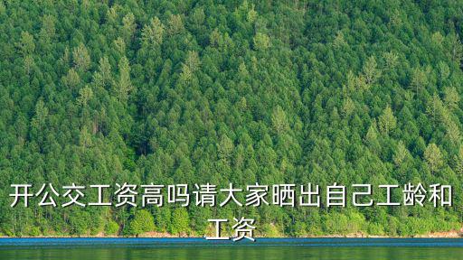 開公交工資高嗎請(qǐng)大家曬出自己工齡和工資