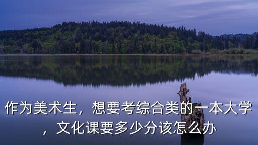作為美術生，想要考綜合類的一本大學，文化課要多少分該怎么辦
