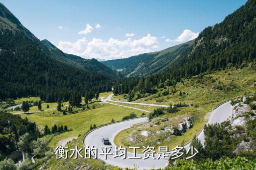 衡水的平均工資是多少