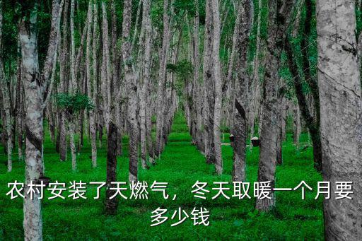 農村安裝了天燃氣，冬天取暖一個月要多少錢