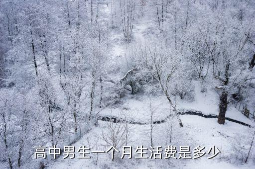 淮北高中生生活費一個月多少合適,你覺得多少合適